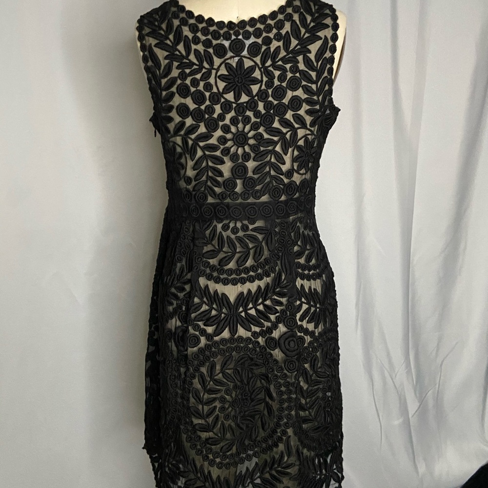 Baraschi semi sheer silk embroidered lace dress - Picture 3 of 5
